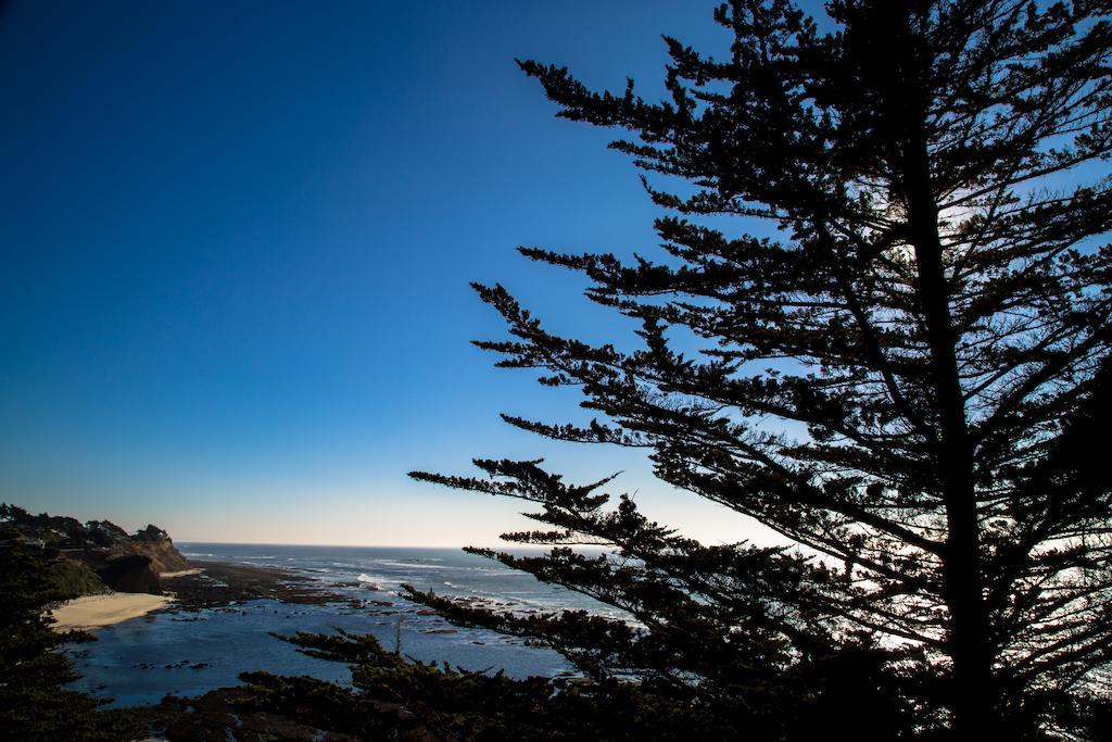 Seal Cove Inn Moss Beach Kültér fotó