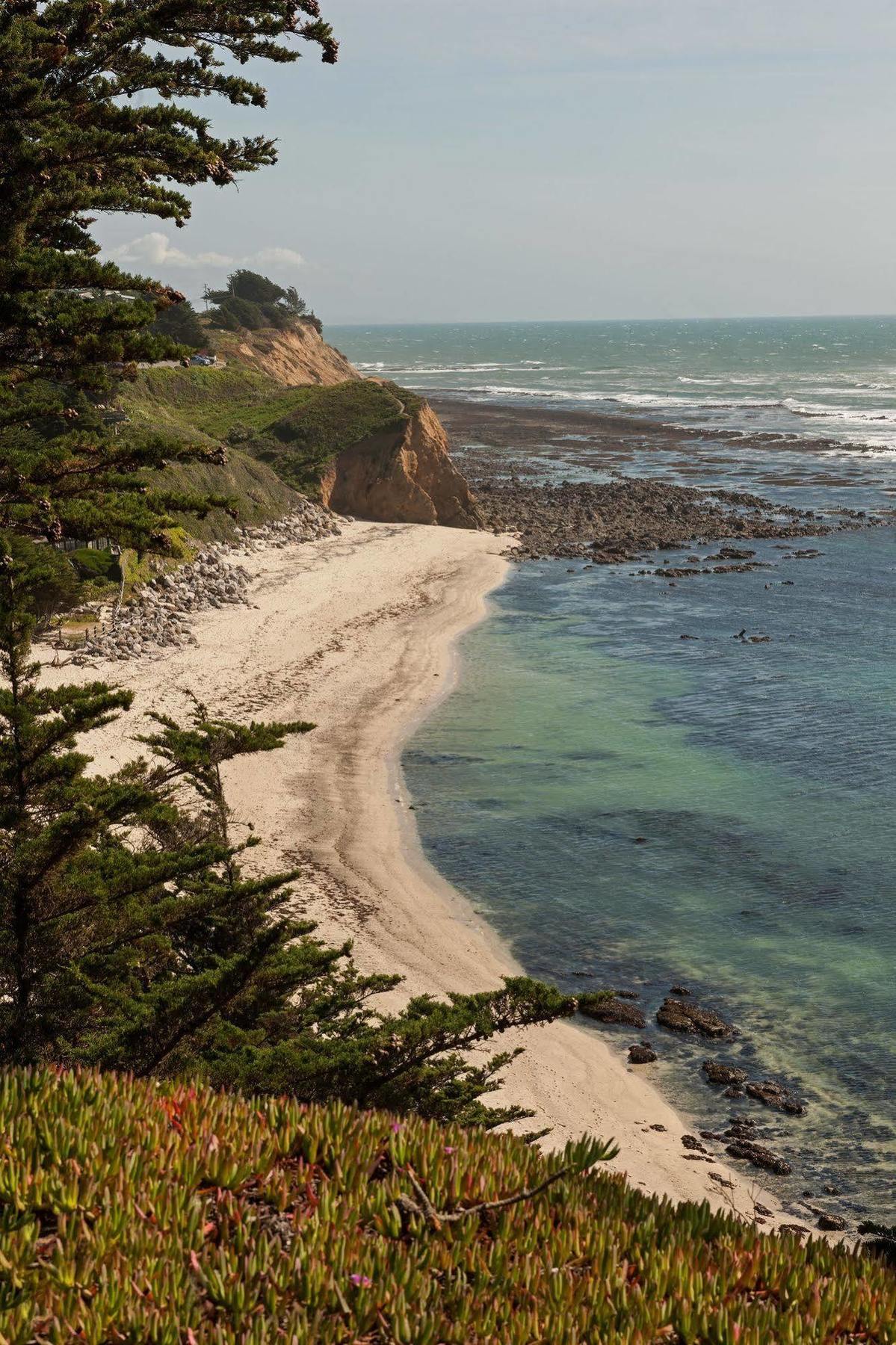 Seal Cove Inn Moss Beach Kültér fotó