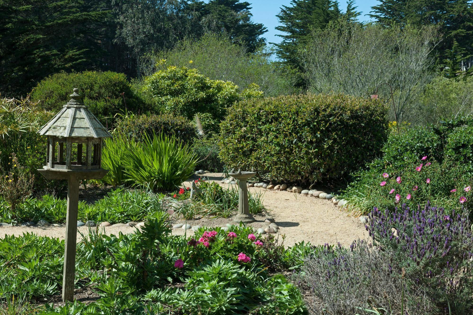 Seal Cove Inn Moss Beach Kültér fotó